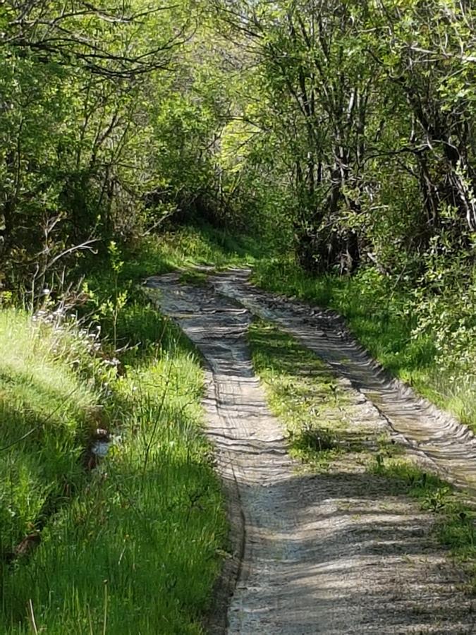 La Posada De Horcajuelo Horcajuelo de la Sierra Kültér fotó