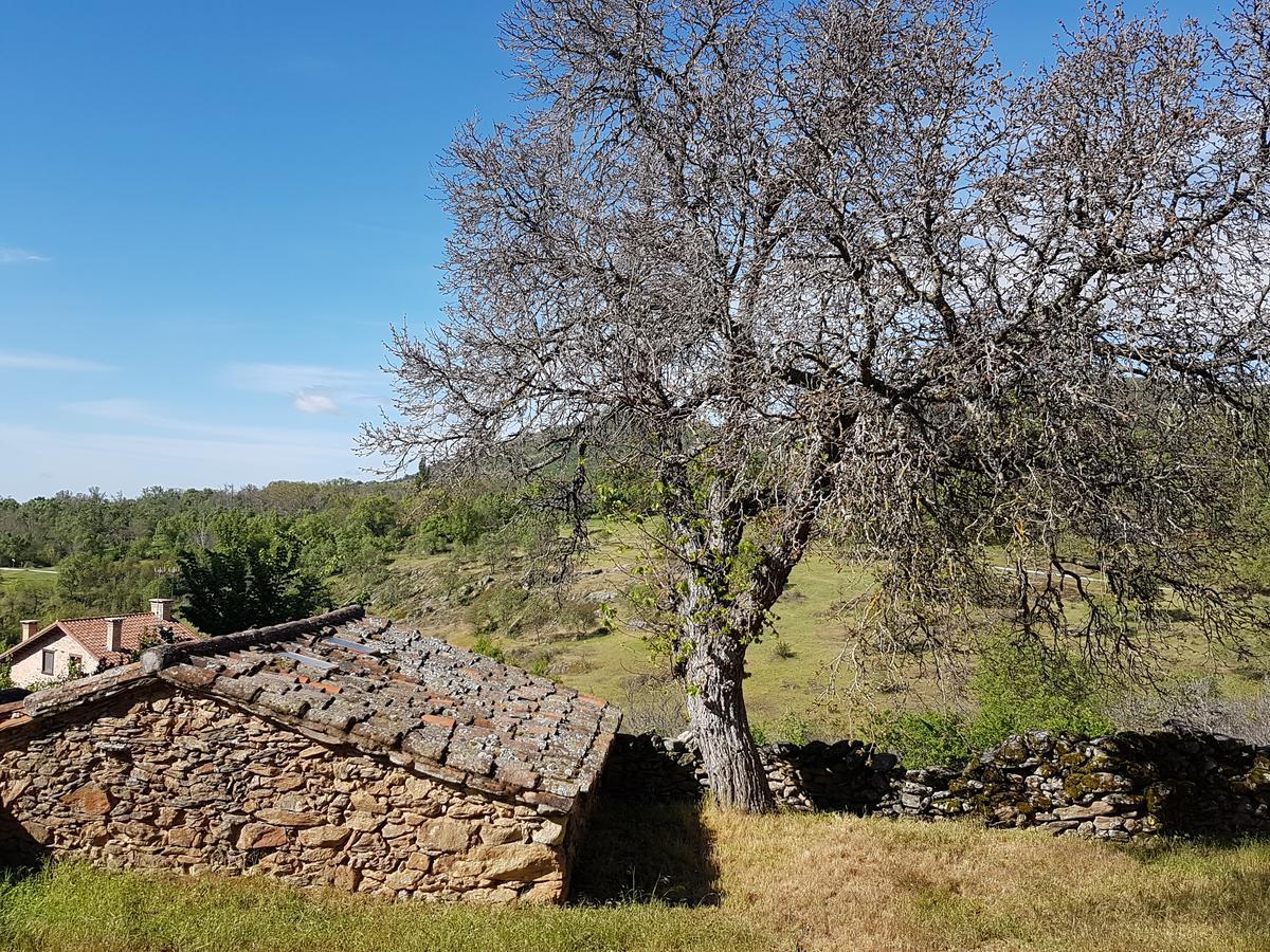 La Posada De Horcajuelo Horcajuelo de la Sierra Kültér fotó