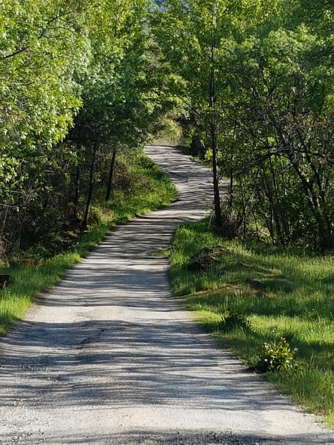 La Posada De Horcajuelo Horcajuelo de la Sierra Kültér fotó