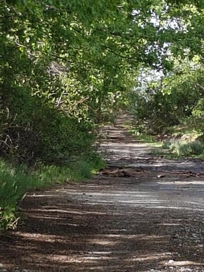 La Posada De Horcajuelo Horcajuelo de la Sierra Kültér fotó