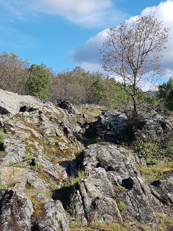 La Posada De Horcajuelo Horcajuelo de la Sierra Kültér fotó